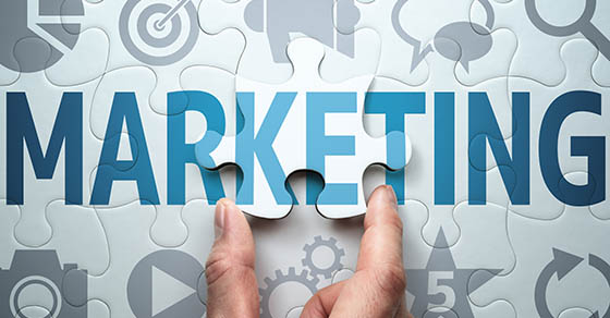 How should your marketing strategy change next year?